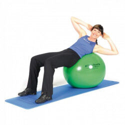 Thera Band Zitbal ProSeries Thera Band Zitbal ProSeries