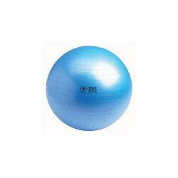 Swiss Ball 300 kg, 55 cm zonder pomp en DVD Swiss Ball 300 kg, 55 cm zonder pomp en DVD