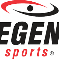 Pro Line Gevulde Bokszak met ketting 100-120-150-180 cm Pro Line Gevulde Bokszak met ketting 100-120-150-180 cm