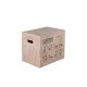 Body-Solid 3-In-1 Houten Plyobox BSTWPBOX