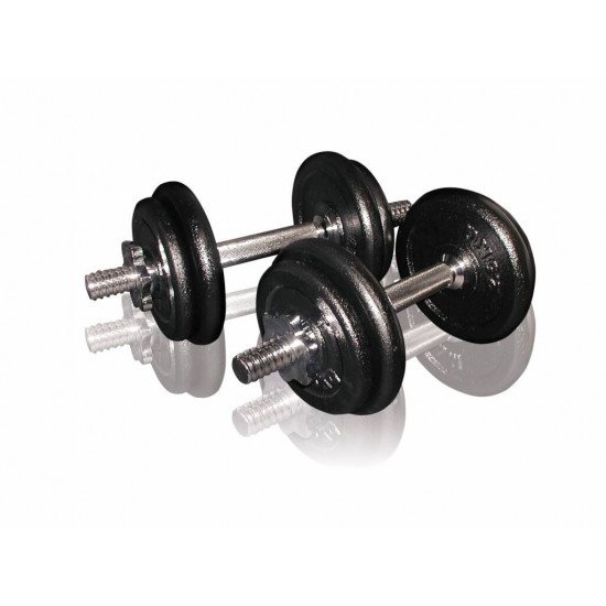 Toorx Dumbbellset 20 kg met Koffer