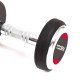 Toorx MGP Dumbbells - Rubber Coated, 2-40 kg