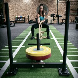 LMX1024 Crossmaxx® Prowler sled LMX1024 Crossmaxx® Prowler sled